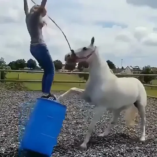 Видео от Заброшенное