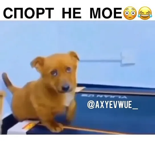 Спорт не мое