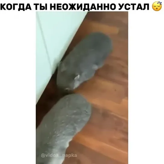 Усталость