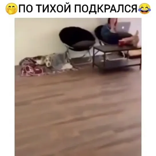 Скрытое наблюдение