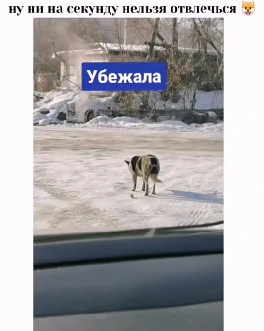 Убежала