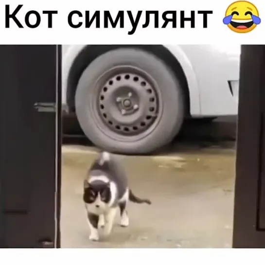 Симулянт