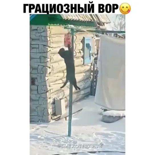 Воришка