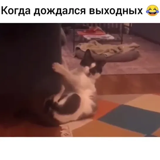 Выходные