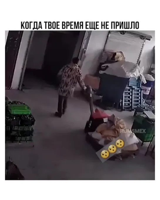 Время еще не пришло