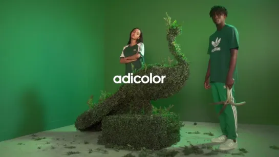 adidas Originals | adicolor | Green