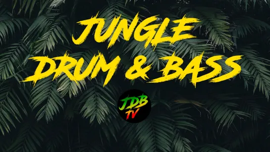 🎧 MUSIC TV 24/7 🎧 Jungle x DnB x Dub x Reggae x Dubstep 🌑 Visual Radio