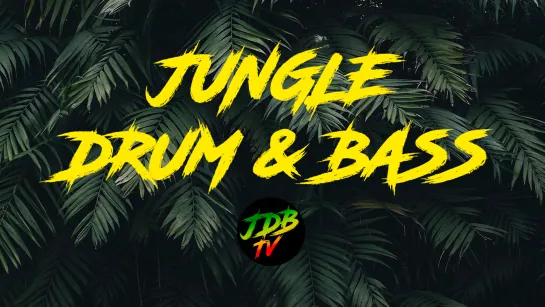 🎧 MUSIC TV 24/7 🎧 Jungle x DnB x Dub x Reggae x Dubstep 🌑 Visual Radio