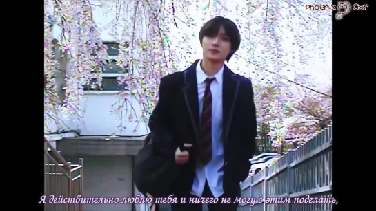 [Phoenix Cor] BEOMGYU from TXT (TOMORROW X TOGETHER) - Because I Love You (Sukidakara) [рус.саб.]  (Cover)