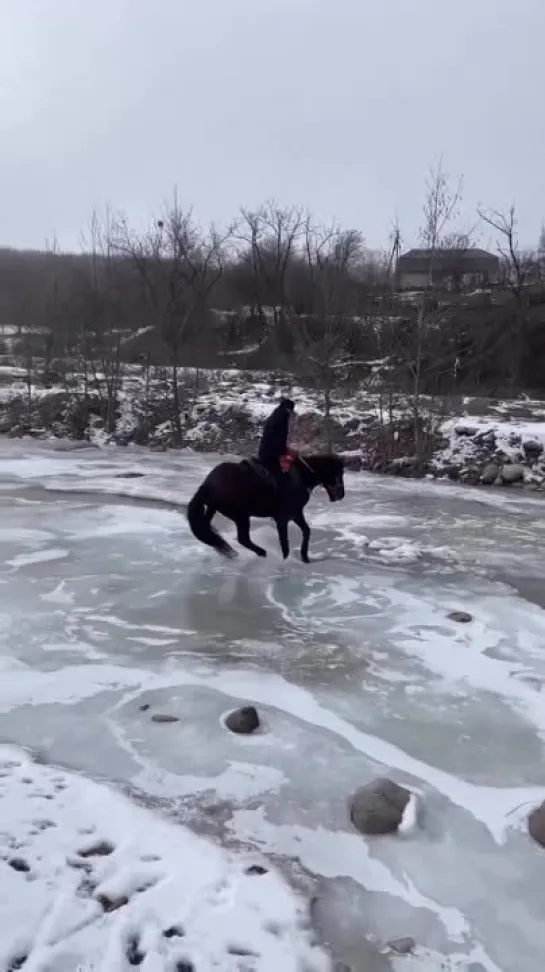 Когда лошадь.. в огонь и в воду...