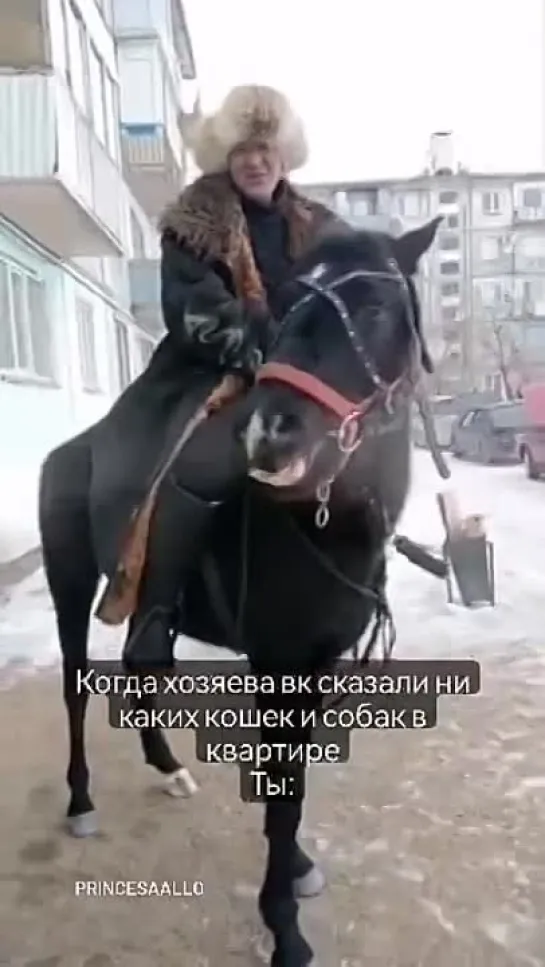 Сосед вышел.