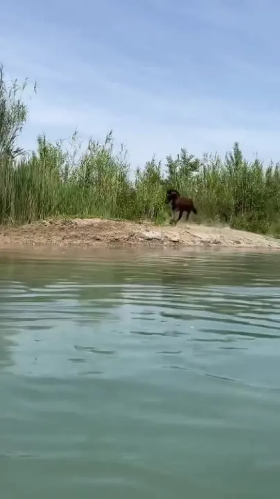 Водные процедуры