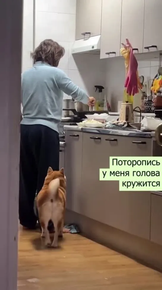 🐕👨🏼‍🍳