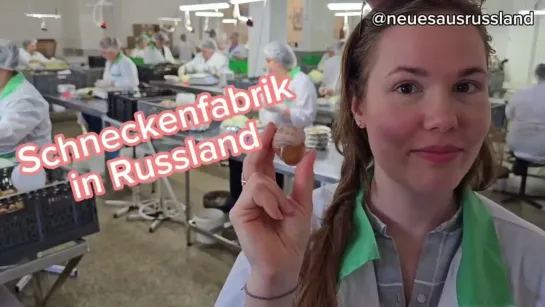 ▶️ Reportage: Schweizer Ehepaar wandert nach Russland aus und eröffnet Schneckenfabrik 🐌