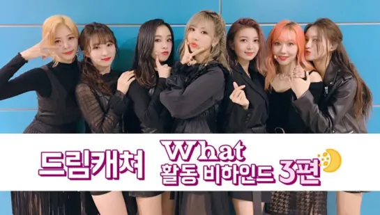 [RUS SUB] Dreamcatcher's Note EP.80: 3-ая неделя промоушена с 'What'