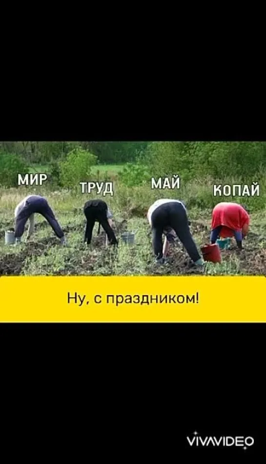 Video by Свободные люди