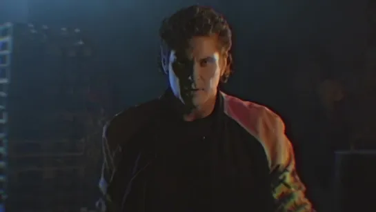 David Hasselhoff - True Survivor