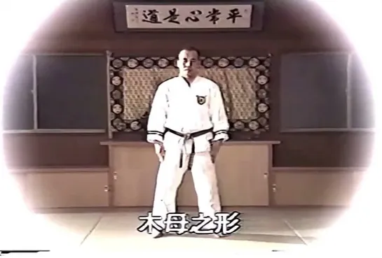 Mokumo no kata 木母之形 / Nippon kempo Kyokai 日本拳法