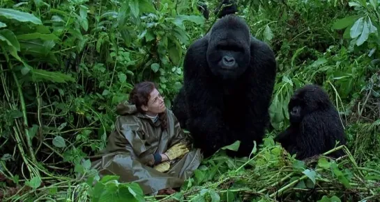 Гориллы в тумане: История Дайан Фосси / Gorillas in the Mist: The Story of Dian Fossey  DVDRip 1988