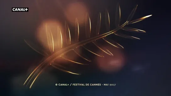 Cérémonie d'ouverture du 70e Festival de Cannes VF