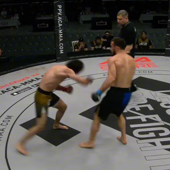 Video by ACA MMA | Absolute Championship Akhmat