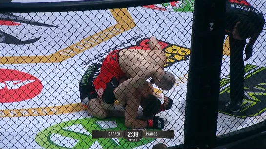 Video by ACA MMA | Absolute Championship Akhmat