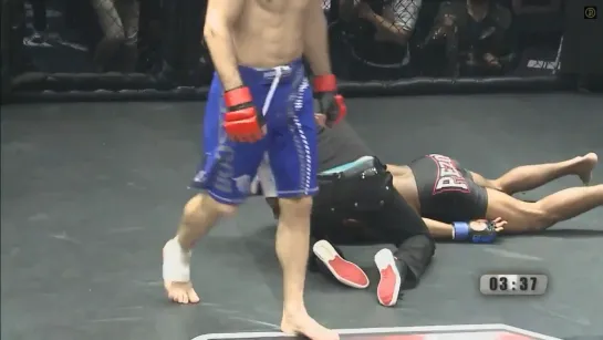 Video by ACA MMA | Absolute Championship Akhmat