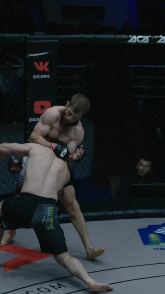 Video by ACA MMA | Absolute Championship Akhmat