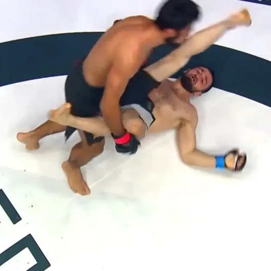 Video by ACA MMA | Absolute Championship Akhmat