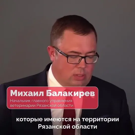 🐶 В Рязанской области начинает действовать закон о регистрации домашних питомцев.