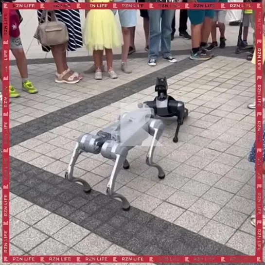 🐶🤖 На фестивале креативных индустрий в Рязани засняли киберсобак.