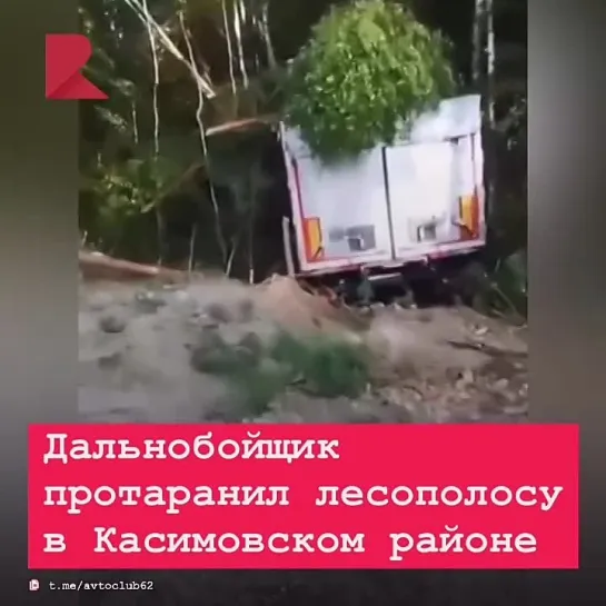 🚛 Дальнобойщик протаранил лесополосу в Касимовском районе.