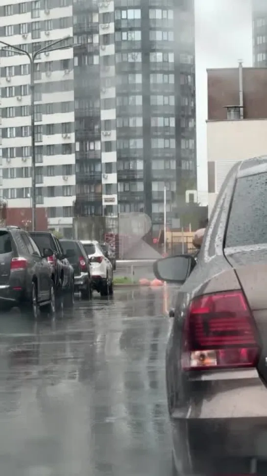 Вот и обещанный снегопад 🌨️.