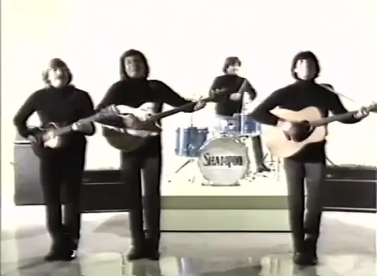 Shampoo - Peppe (The Beatles - Help!)