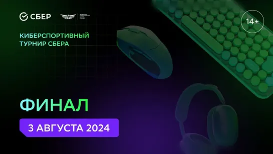 Киберспортивный турнир Сбера 2024 | Финал