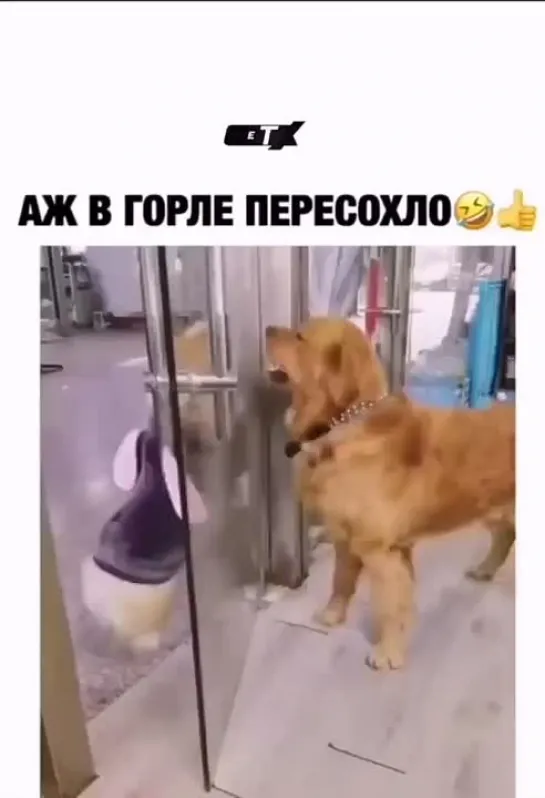 Сейчас попью!