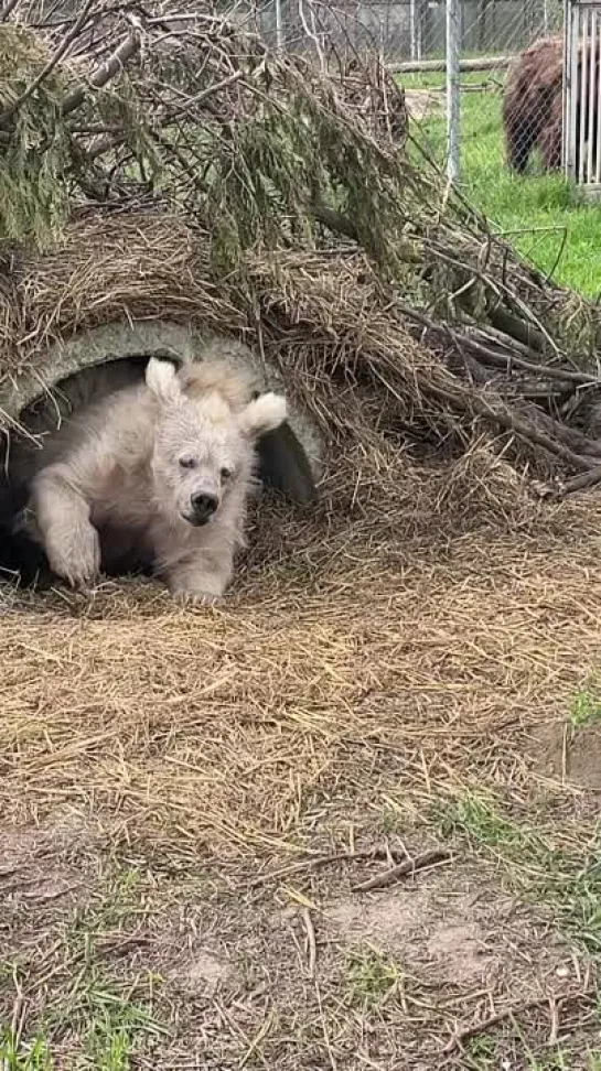 С понедельничком!