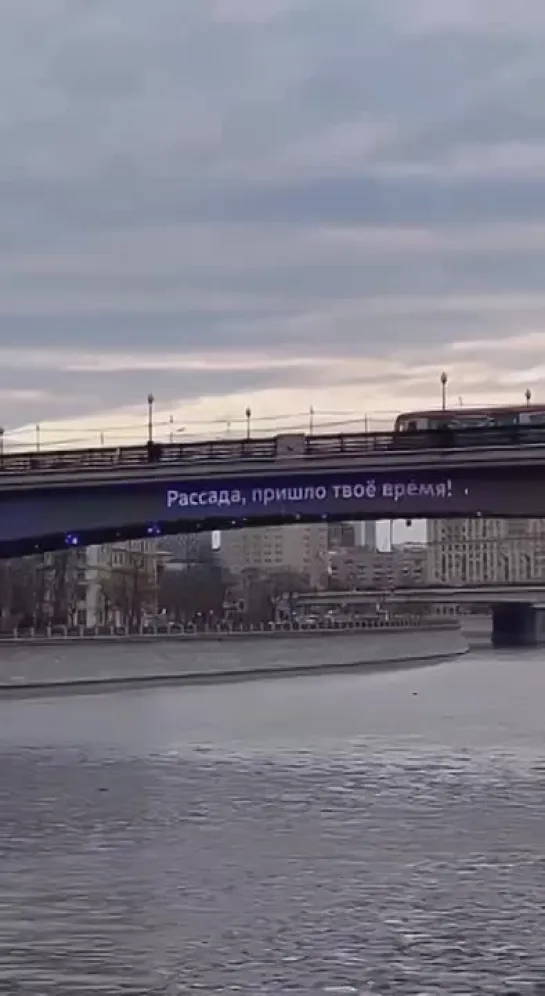 Рассада