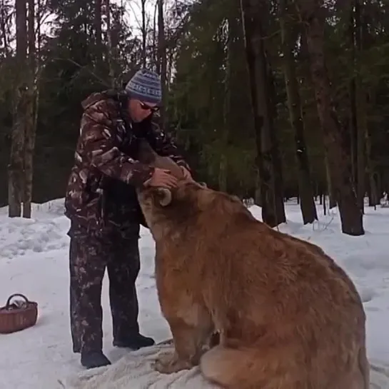 Всем нужна ласка