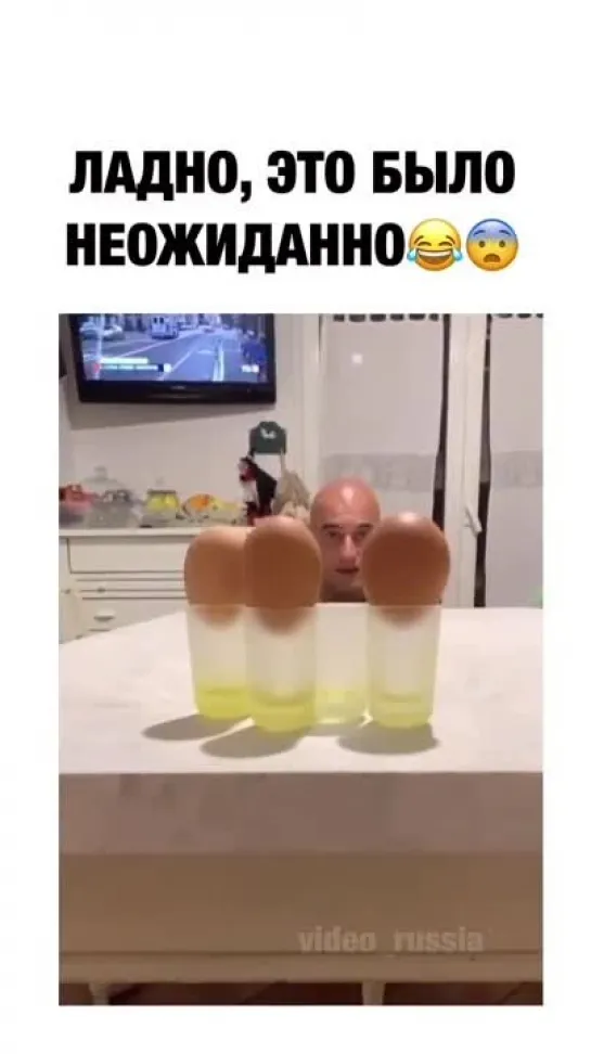 🥚🥚🥚🥚