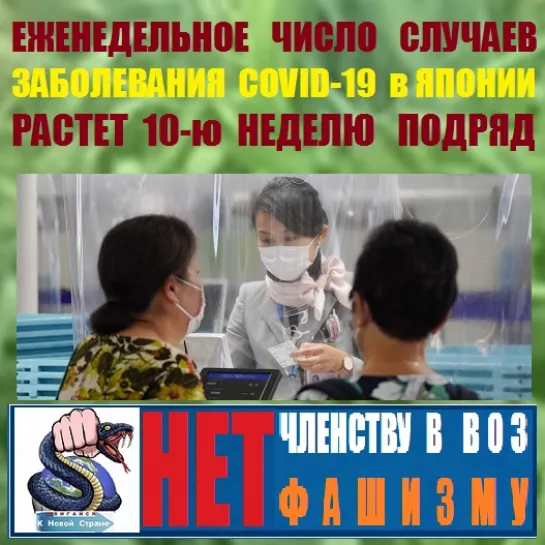 К Новой Стране