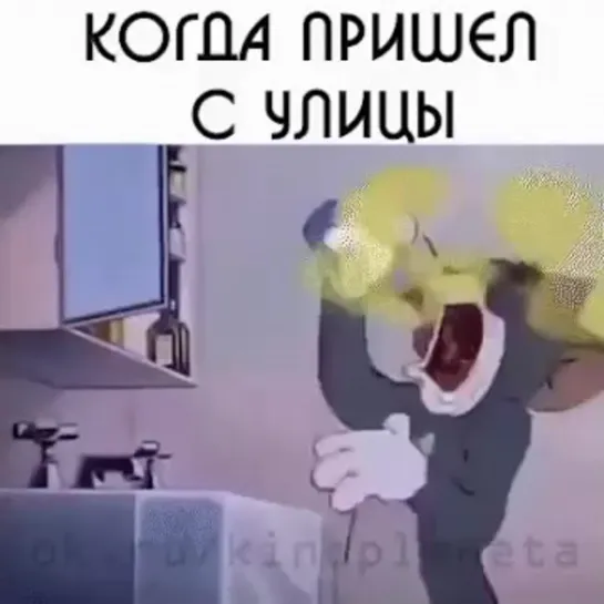 Когда пришел с улицы