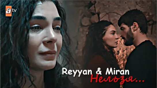 Reyyan & Miran - Нельзя...