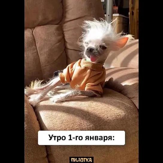 ПИЛОТКА