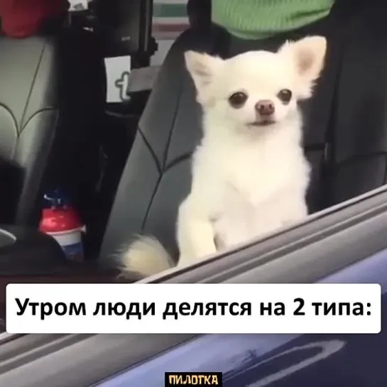 ПИЛОТКА