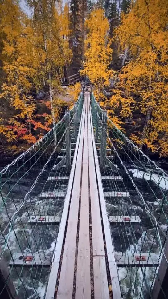 Подвесной мост, пороги Myllykoski Rapids. Национальный парк Oulangan kansallispuisto.