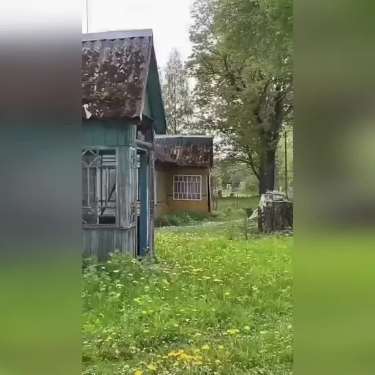 Деревня, в которой хочется жить