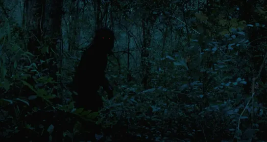 UNCLE BOONMEE WHO CAN RECALL HIS PAST LIVES (2010, Apichatpong Weerasethakul)