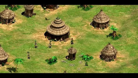 Age of Empires II - Villagers of The World