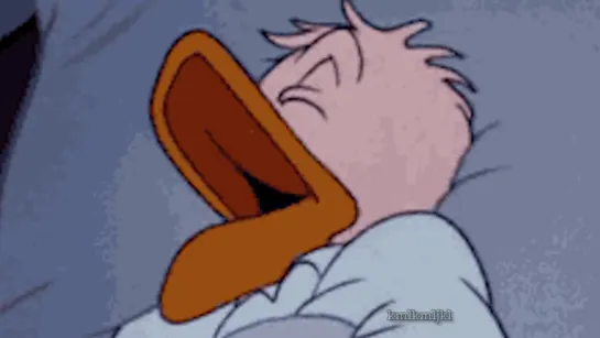 cartoon snoring be like